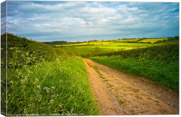 Farm track Canvas Print by Bill Allsopp