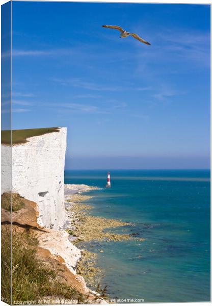 Beachy Head Cliffs and lighthouse Canvas Print by Bill Allsopp