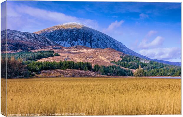 Loch Cill Chriosd Canvas Print by Bill Allsopp