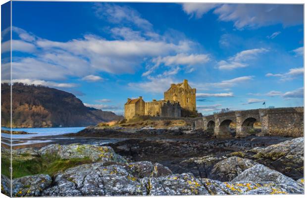 Eileen Donan castle. Canvas Print by Bill Allsopp