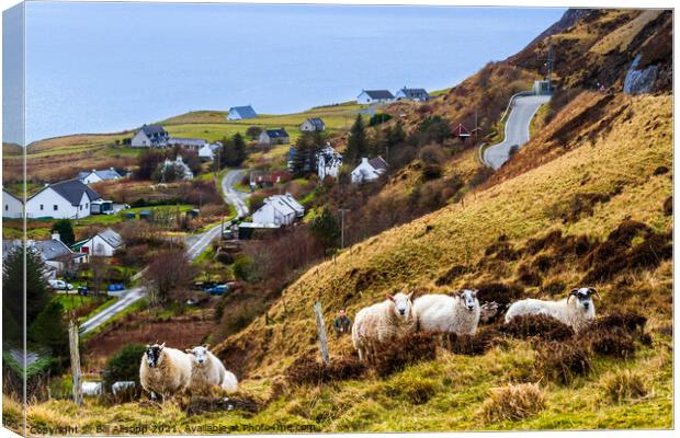 The flock Canvas Print by Bill Allsopp