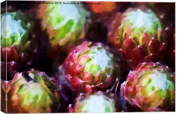  Cactus Heads Canvas Print by Tracy Brown-Percival
