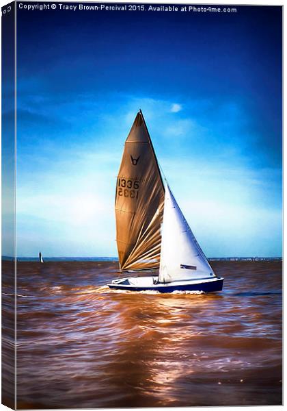  Yatch off Sheerness Canvas Print by Tracy Brown-Percival