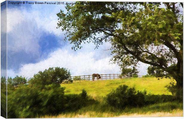  Horse on the Hill Canvas Print by Tracy Brown-Percival