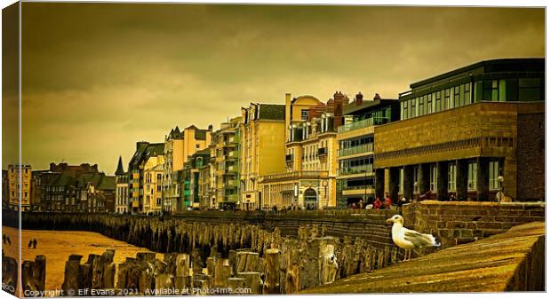 Gull Watching Canvas Print by Elf Evans