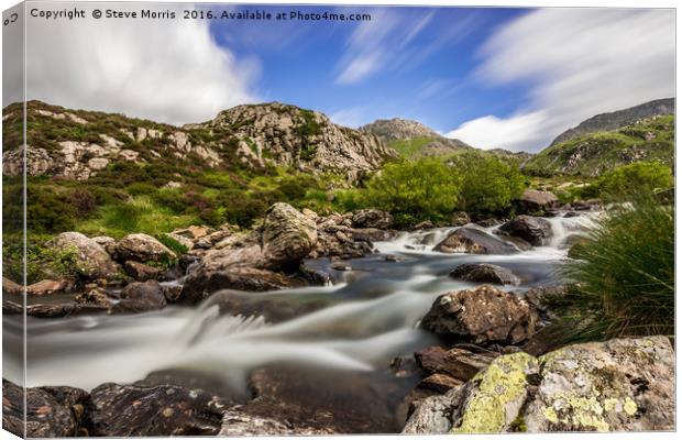 Summer in Snowdonia Canvas Print by Steve Morris