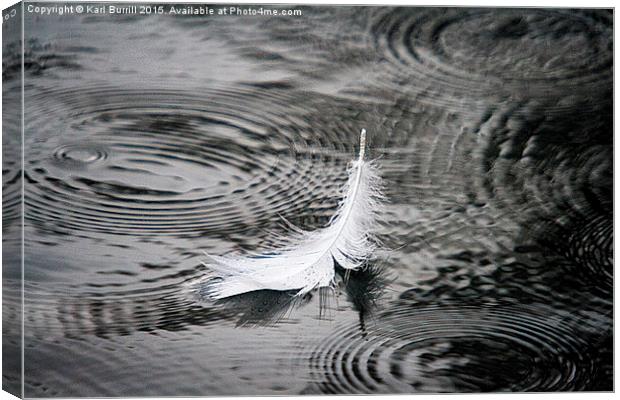  Swan feather Canvas Print by Karl Burrill