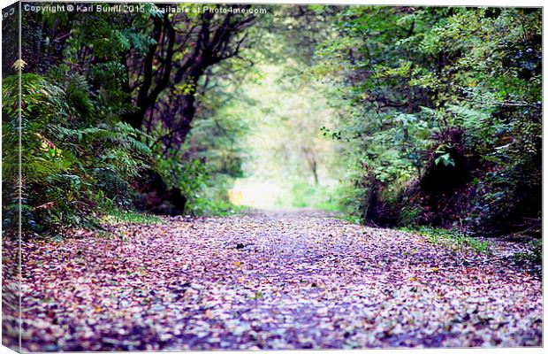  Leaves are falling Canvas Print by Karl Burrill