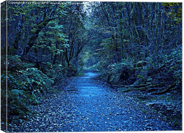  Autumn Track Canvas Print by Karl Burrill