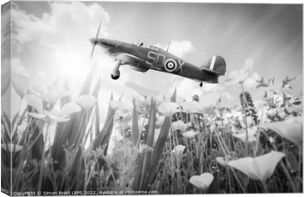 Hawker Hurricane flying over poppies in spring Canvas Print by Simon Bratt LRPS