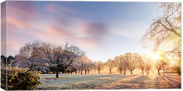 Amazing winter sunrise in Norfolk England trees Canvas Print by Simon Bratt LRPS