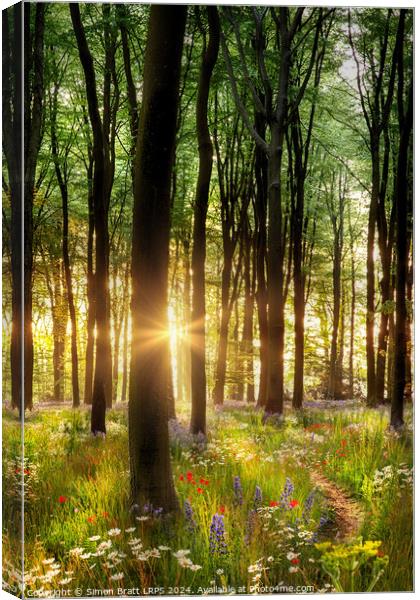 Beautiful wild flower woodland path with dawn sunrise UK Canvas Print by Simon Bratt LRPS