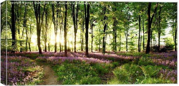 Birds flying though bluebell wood Canvas Print by Simon Bratt LRPS