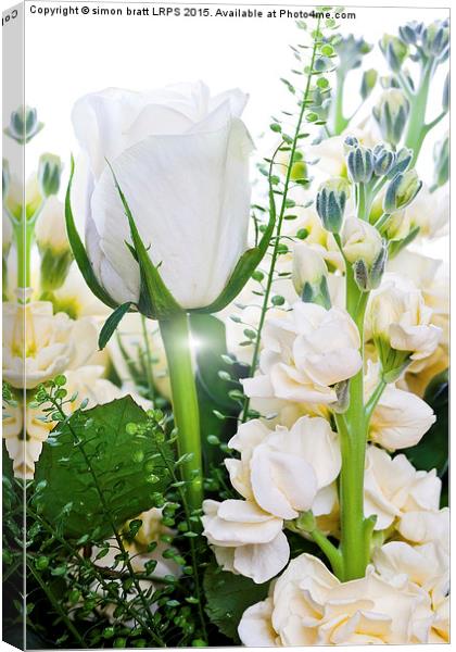 White roses close up on white background Canvas Print by Simon Bratt LRPS