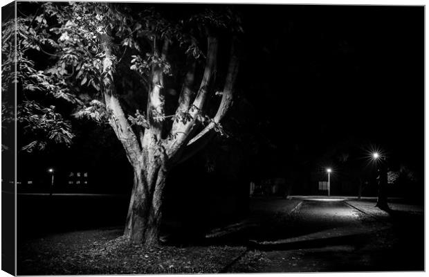 Rural street live at night Canvas Print by Simon Bratt LRPS