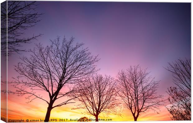 Fiery winter sunset with bare trees Canvas Print by Simon Bratt LRPS