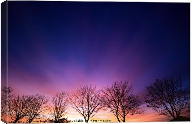 Fiery winter sunset with line of bare trees Canvas Print by Simon Bratt LRPS