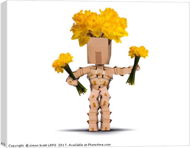Box character holding bunches of daffodils Canvas Print by Simon Bratt LRPS