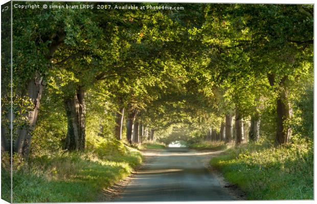 Tree arches over a country lane Canvas Print by Simon Bratt LRPS