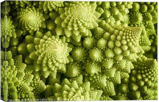 Romanesco broccoli vegetable close up Canvas Print by Simon Bratt LRPS