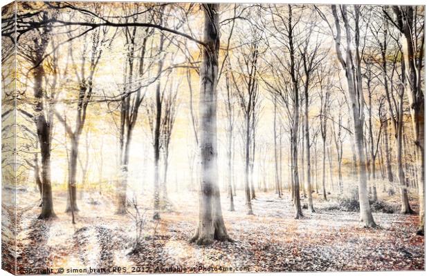 Whispering woodland in autumn fall Canvas Print by Simon Bratt LRPS