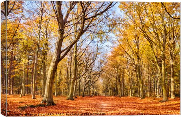 Autumn woodland red leaves Canvas Print by Simon Bratt LRPS