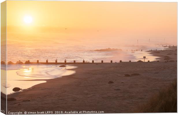 Norfolk coast sunrise with many seals Canvas Print by Simon Bratt LRPS
