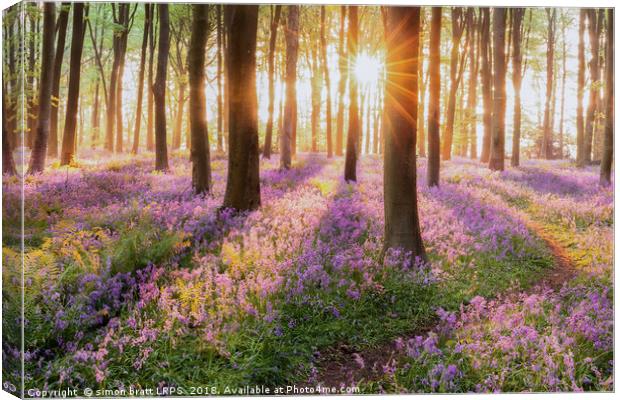 Bluebell forest path at sunrise Canvas Print by Simon Bratt LRPS