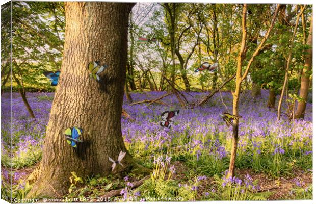 Butterflies in a blubell woodland Canvas Print by Simon Bratt LRPS