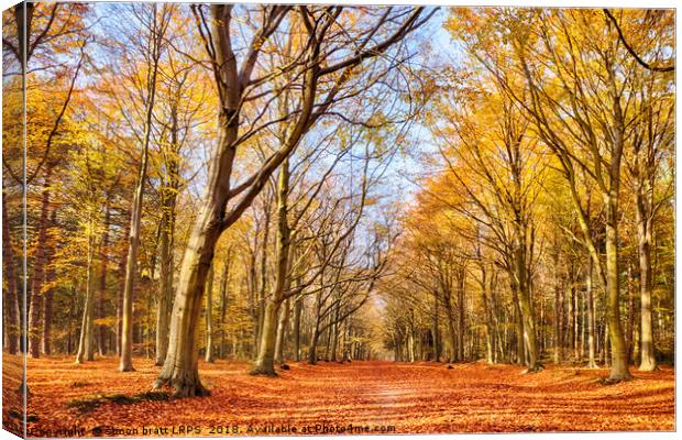 Autumn woodland red leaves Canvas Print by Simon Bratt LRPS