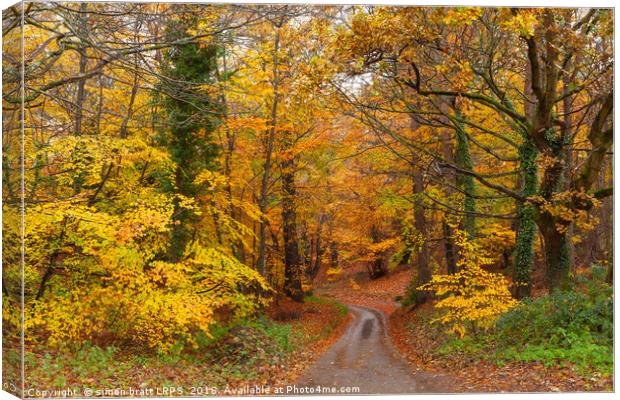 Stunning English autumn forest colours with path Canvas Print by Simon Bratt LRPS