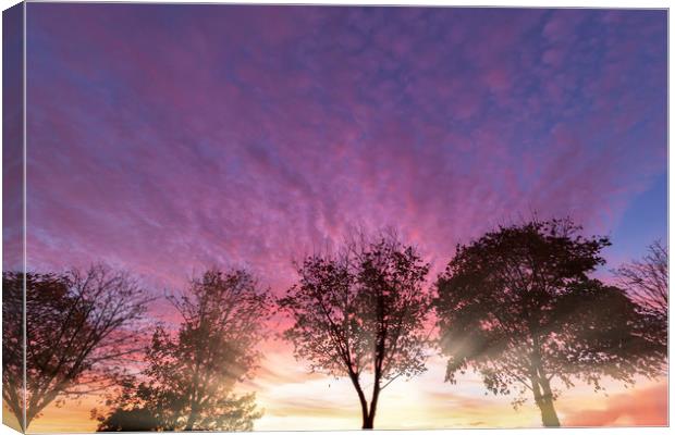Rural purple sunset over winter trees Canvas Print by Simon Bratt LRPS