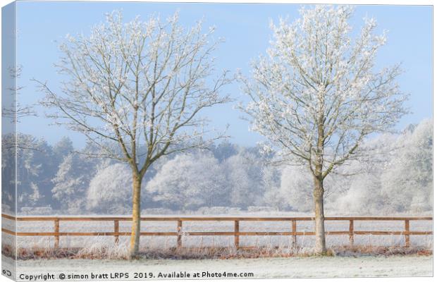 Two trees in a deep frozen winter Canvas Print by Simon Bratt LRPS