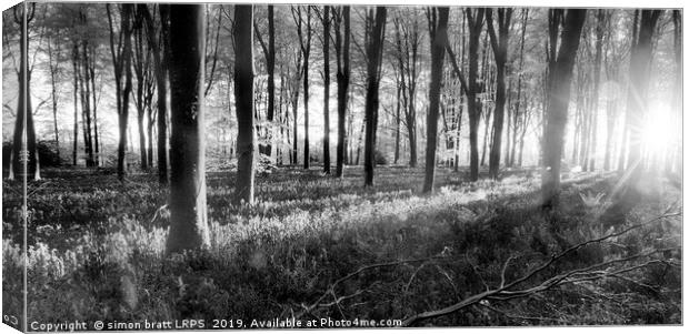 Bluebell woods sunrise in spring black and white Canvas Print by Simon Bratt LRPS