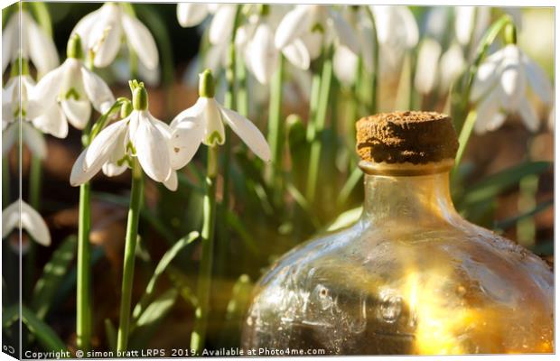 Snowdrops and glass bottle sunrise Canvas Print by Simon Bratt LRPS