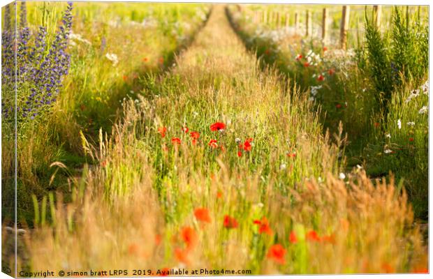 Converging tracks in a flower meadow Canvas Print by Simon Bratt LRPS