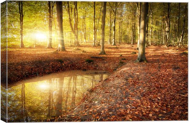 Autumn sunrise bursting through woodland Canvas Print by Simon Bratt LRPS