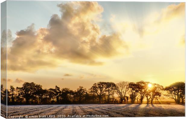 Frosty farmland sunrise in Norfolk UK Canvas Print by Simon Bratt LRPS