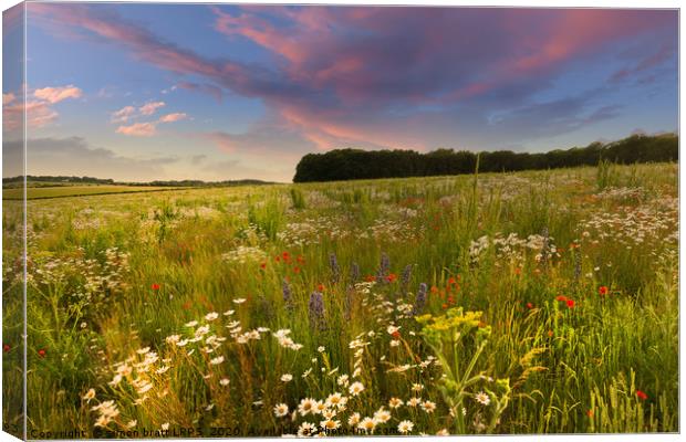 Wild flower meadow sunset landscape in West Norfol Canvas Print by Simon Bratt LRPS