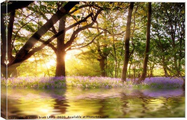 Magical pond in bluebell forest Canvas Print by Simon Bratt LRPS
