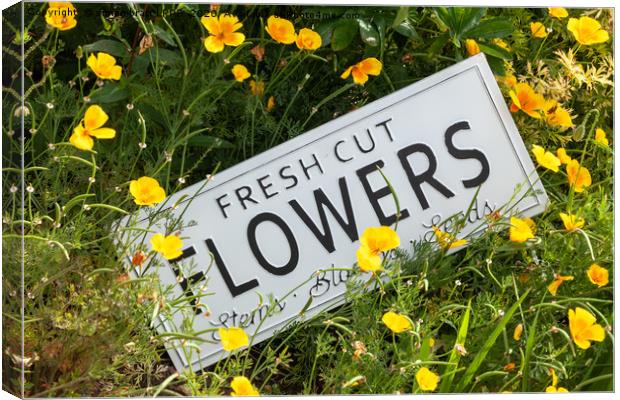 Garden flowers with fresh cut flower sign 0753 Canvas Print by Simon Bratt LRPS