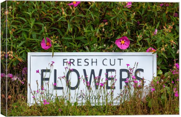 Garden flowers with fresh cut flower sign 0711 Canvas Print by Simon Bratt LRPS