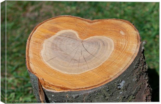 Tree trunk with love heart growth rings Canvas Print by Simon Bratt LRPS