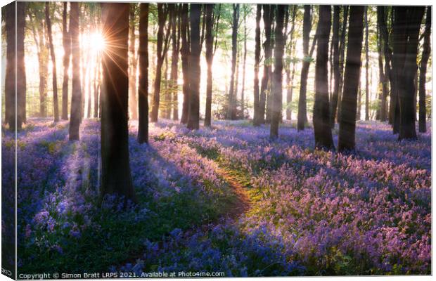 Bluebell woods path sunrise in Norfolk England Canvas Print by Simon Bratt LRPS