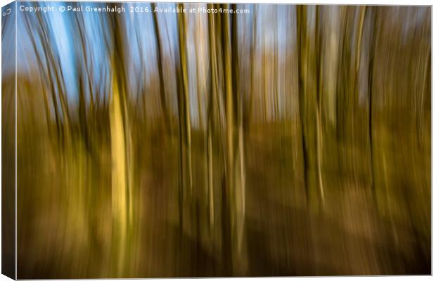 Trees in Motion Canvas Print by Paul Greenhalgh