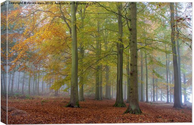  Colours of autumn Canvas Print by steven stain