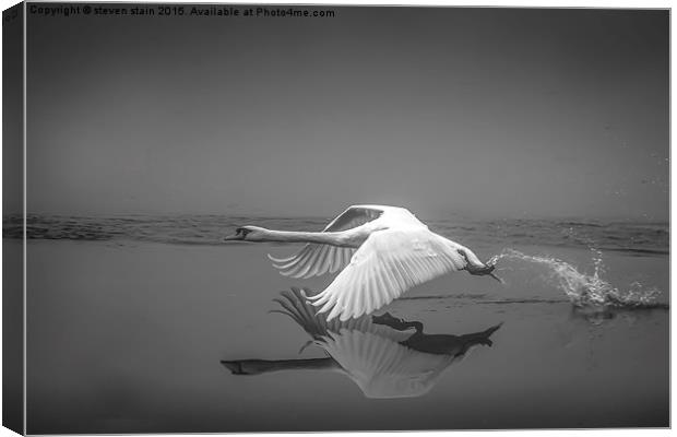  flight in reflection Canvas Print by steven stain