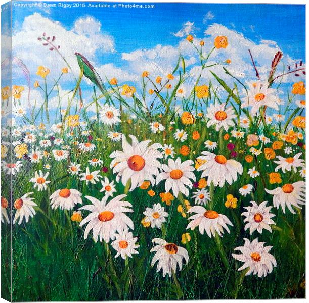  Daisies in the Meadow Canvas Print by Dawn Rigby