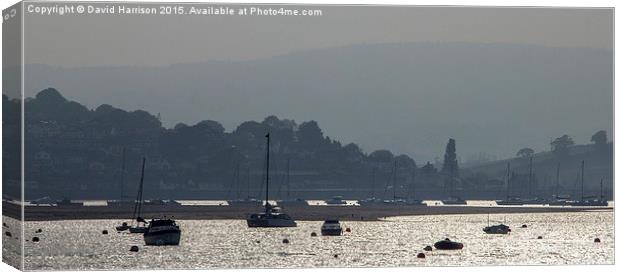  "Evening on the Exe" Canvas Print by David Harrison