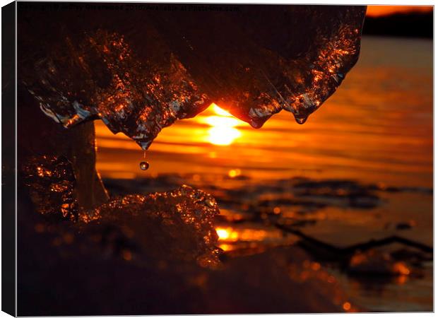  Water droplet with sunset Canvas Print by Jeffrey Greenwood